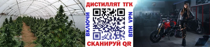 ТГК концентрат  Бабушкин 